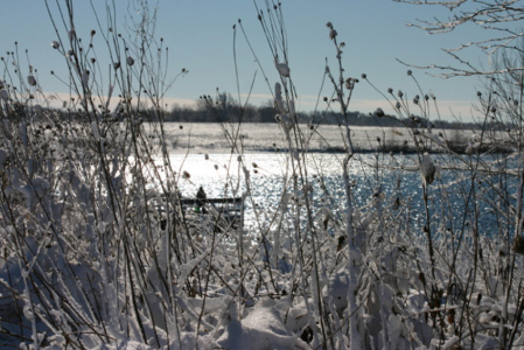 Vinterfiskeri i put & take fiskesø