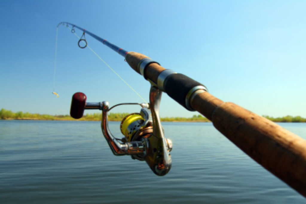 God fiskestang til Put & Take fiskeri