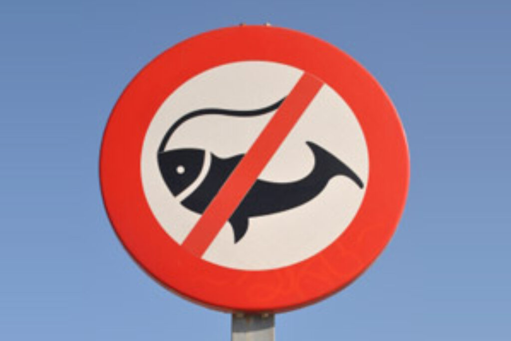 Udbrud af fiskesygdommen IHN i dansk dambrug