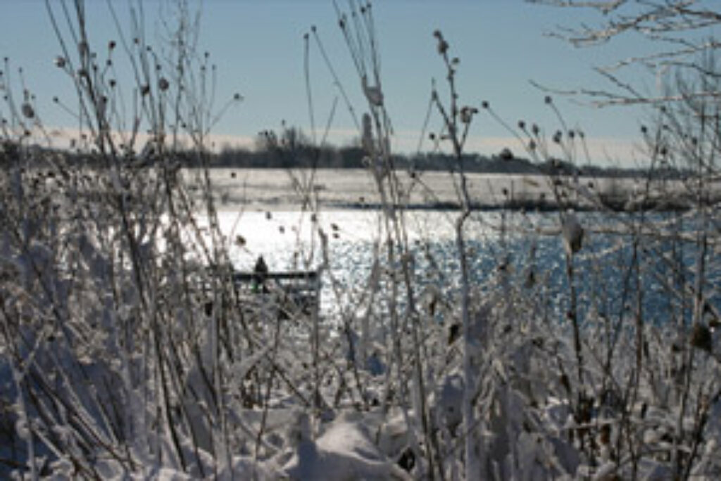 Årets gang ved fiskesøen: December