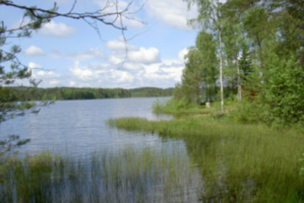 Årets gang ved fiskesøen: Juli