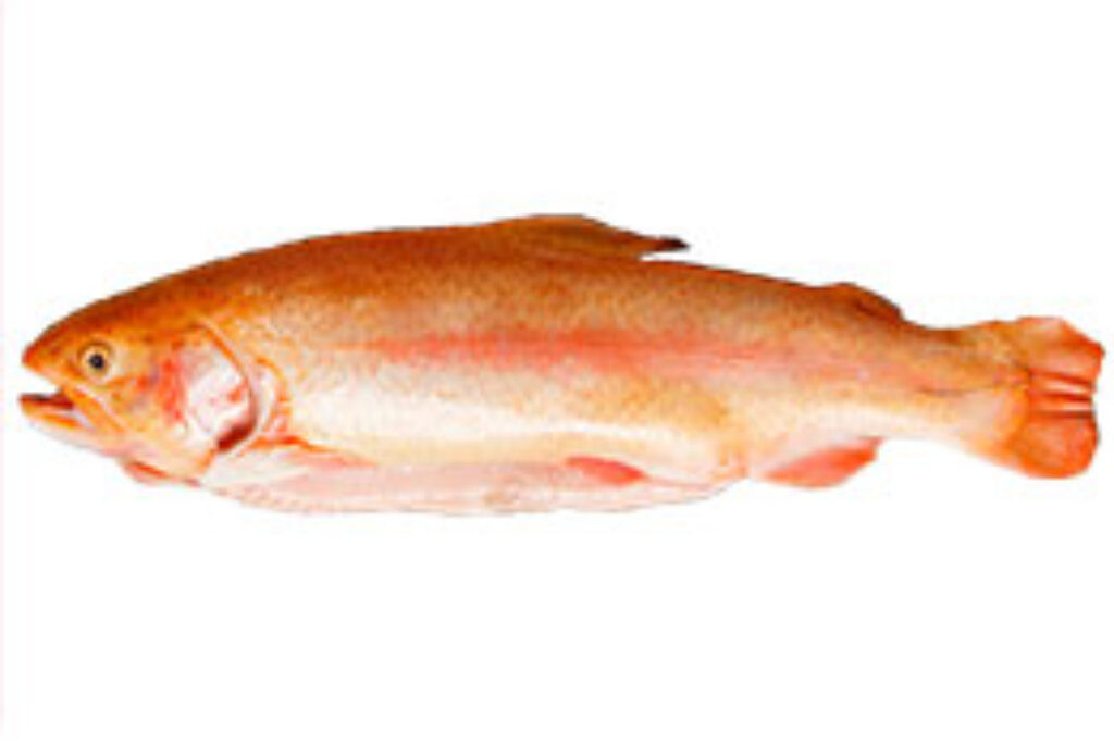 Guldørred