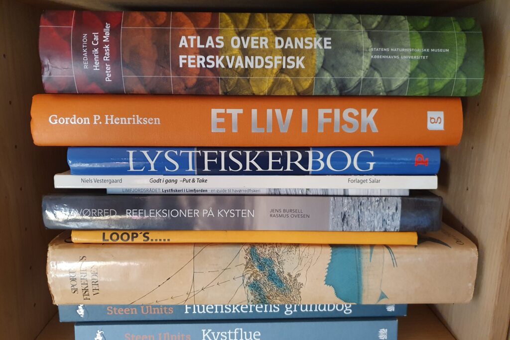 5 fiskebøger til din sommerferie