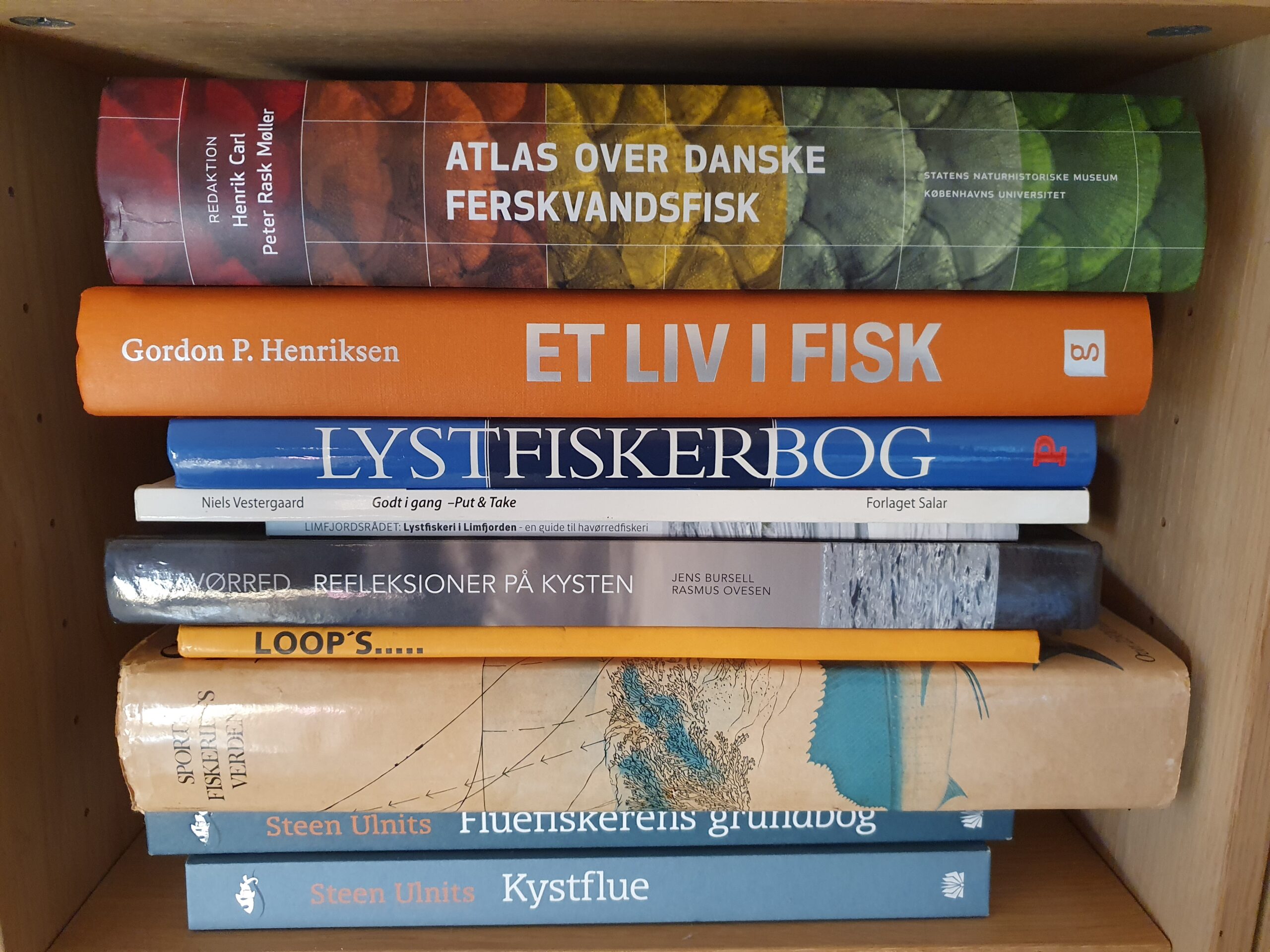 5 fiskebøger til din sommerferie